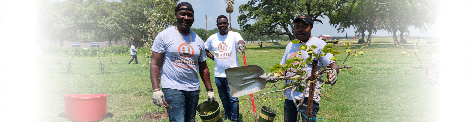 group of african men planting trees